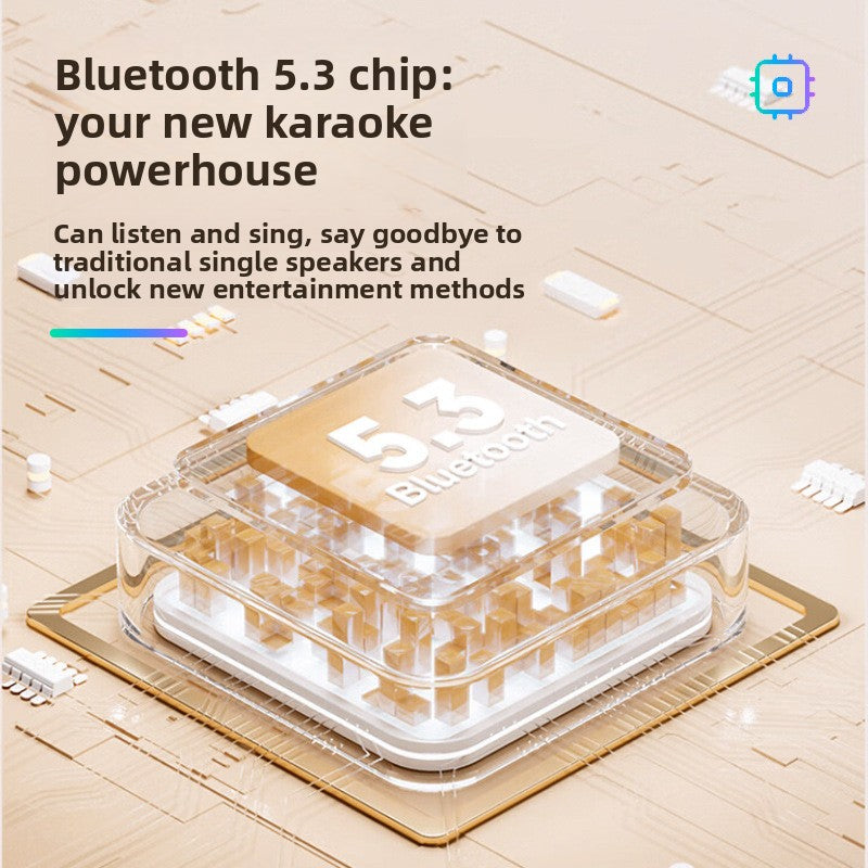 Wireless Bluetooth Speaker with Microphone