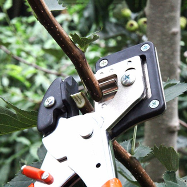 Tree Grafting Cutting Tool