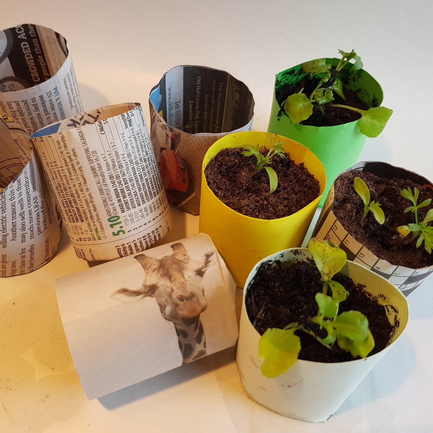 Paper Plant Pot Maker Great Gift